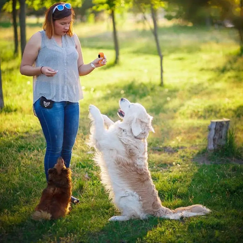Clicker d’Entraînement pour Chiens & Chats