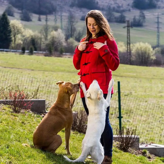 Clicker d’Entraînement pour Chiens & Chats